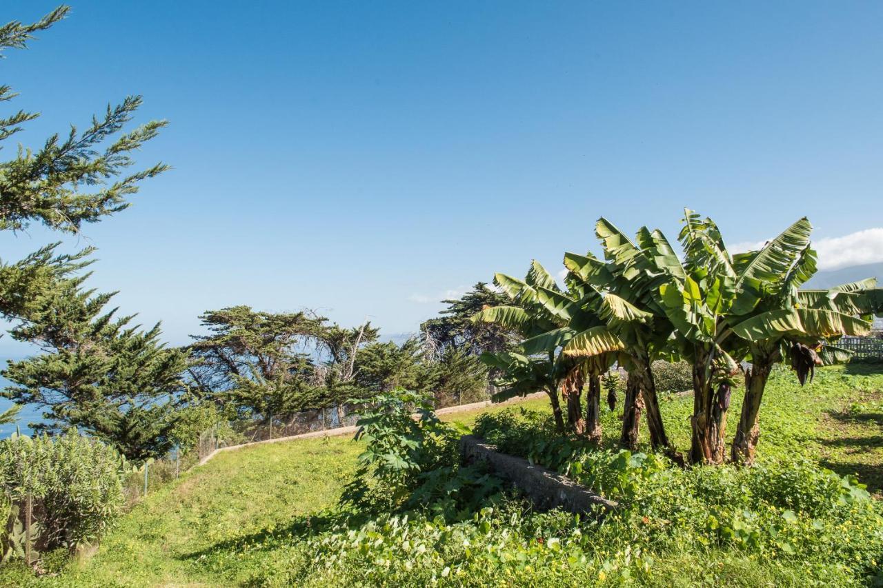 Casas En Finca Ecologica La Espiral, Naturaleza, Calma Y Vistas Al Mar, Icod el Alto Dış mekan fotoğraf