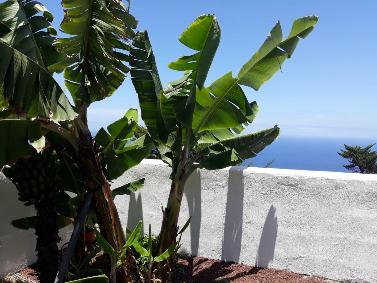 Casas En Finca Ecologica La Espiral, Naturaleza, Calma Y Vistas Al Mar, Icod el Alto Dış mekan fotoğraf