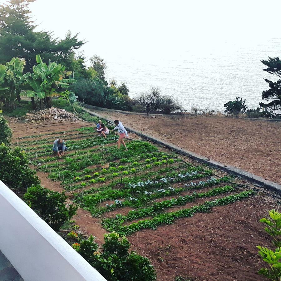 Casas En Finca Ecologica La Espiral, Naturaleza, Calma Y Vistas Al Mar, Icod el Alto Dış mekan fotoğraf