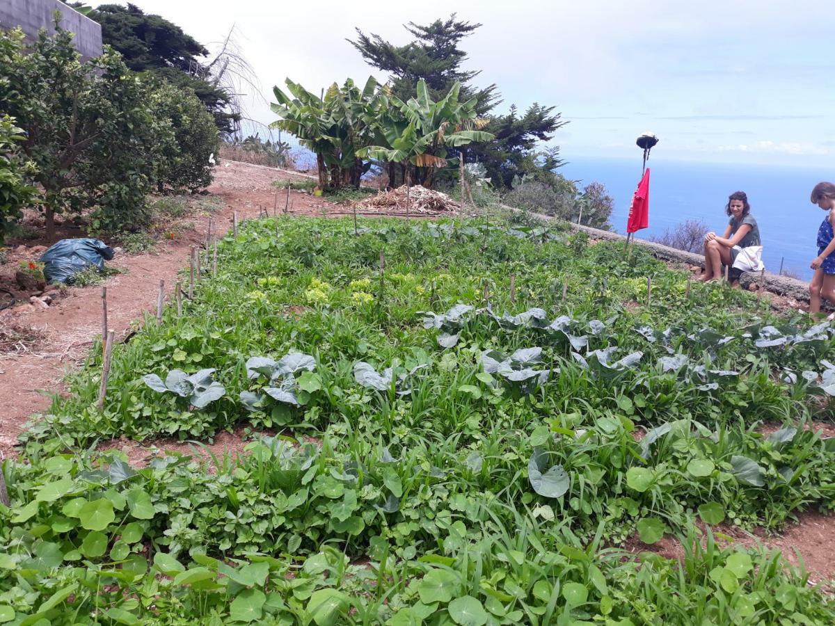 Casas En Finca Ecologica La Espiral, Naturaleza, Calma Y Vistas Al Mar, Icod el Alto Dış mekan fotoğraf